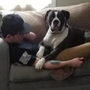 Meet your Posher, Scotty